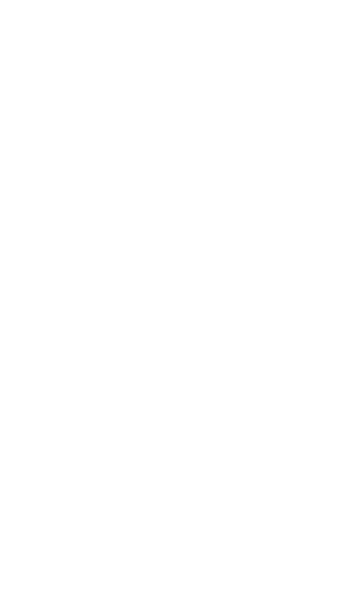 Elegant Solution Trading